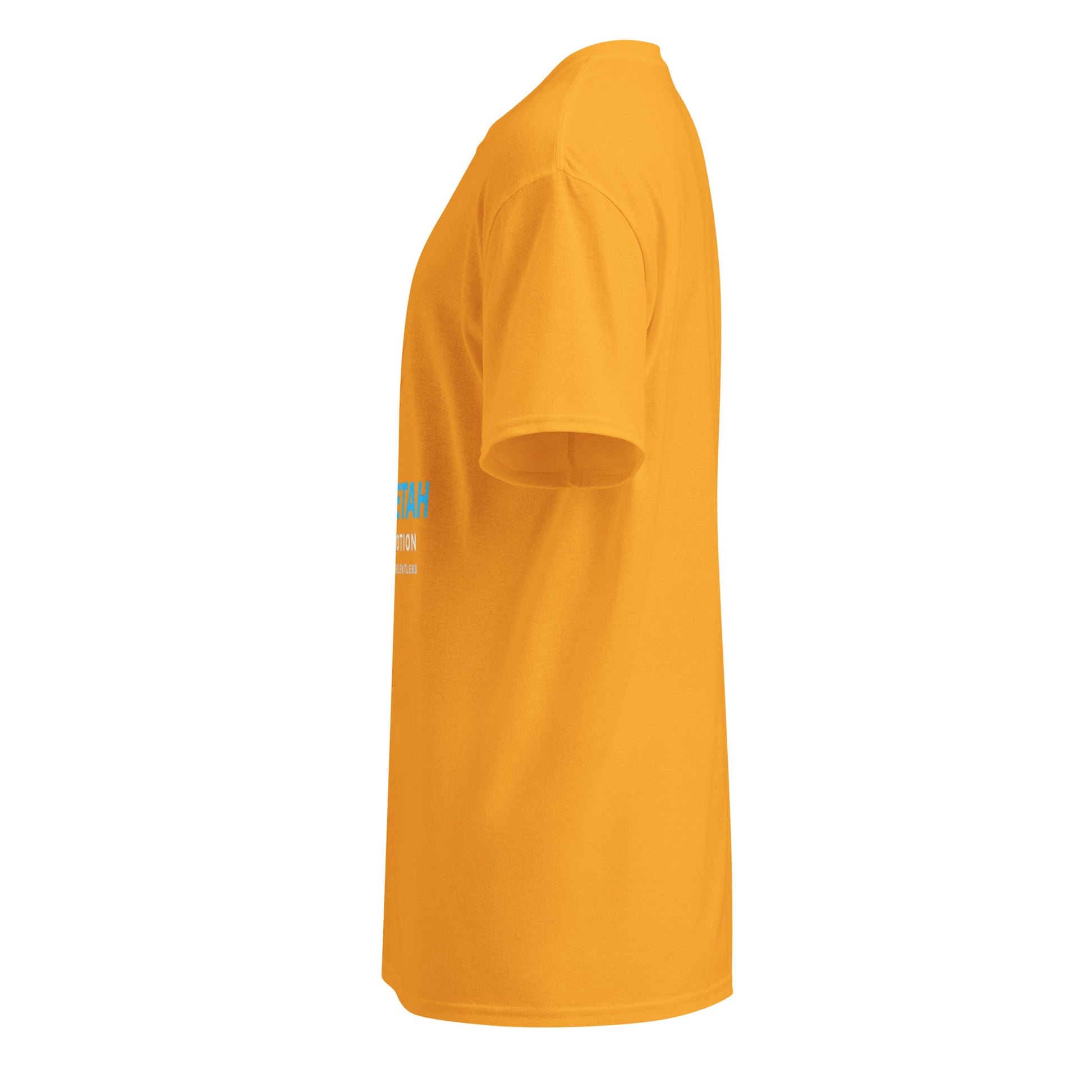 dryblend-t-shirt-1