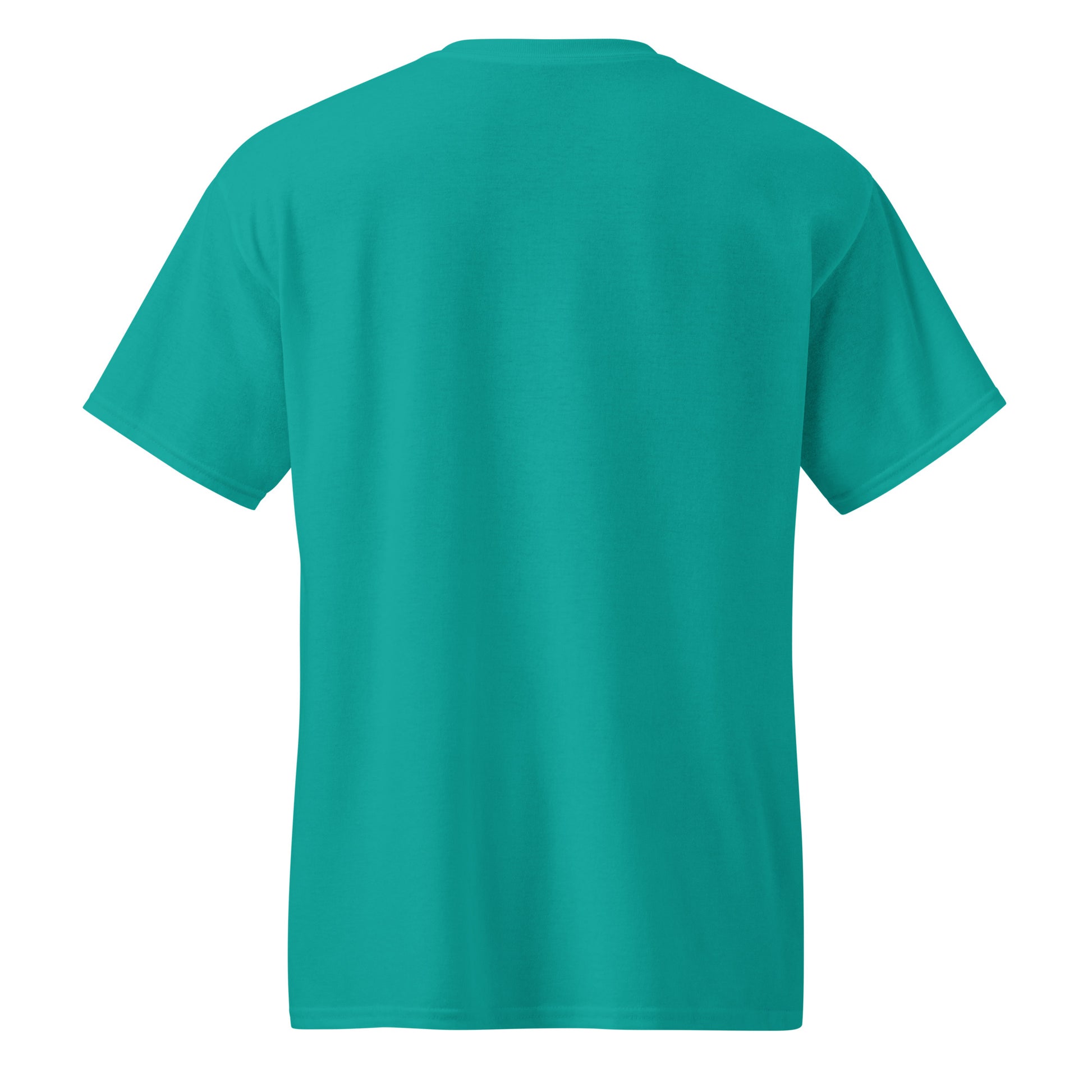 dryblend-t-shirt-1