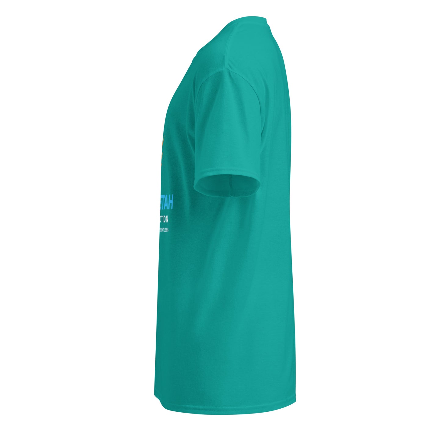 dryblend-t-shirt-1
