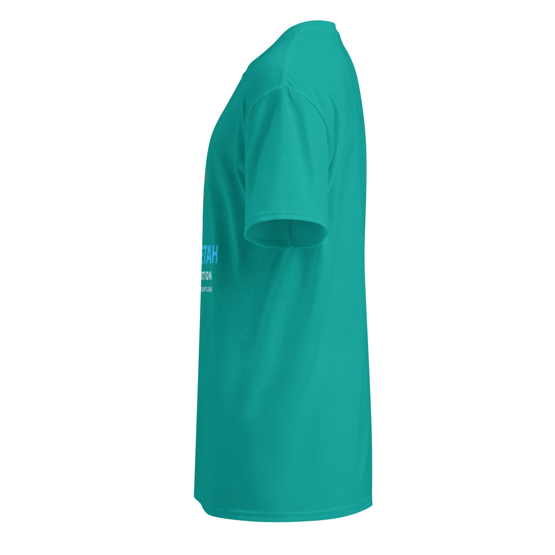 dryblend-t-shirt-1