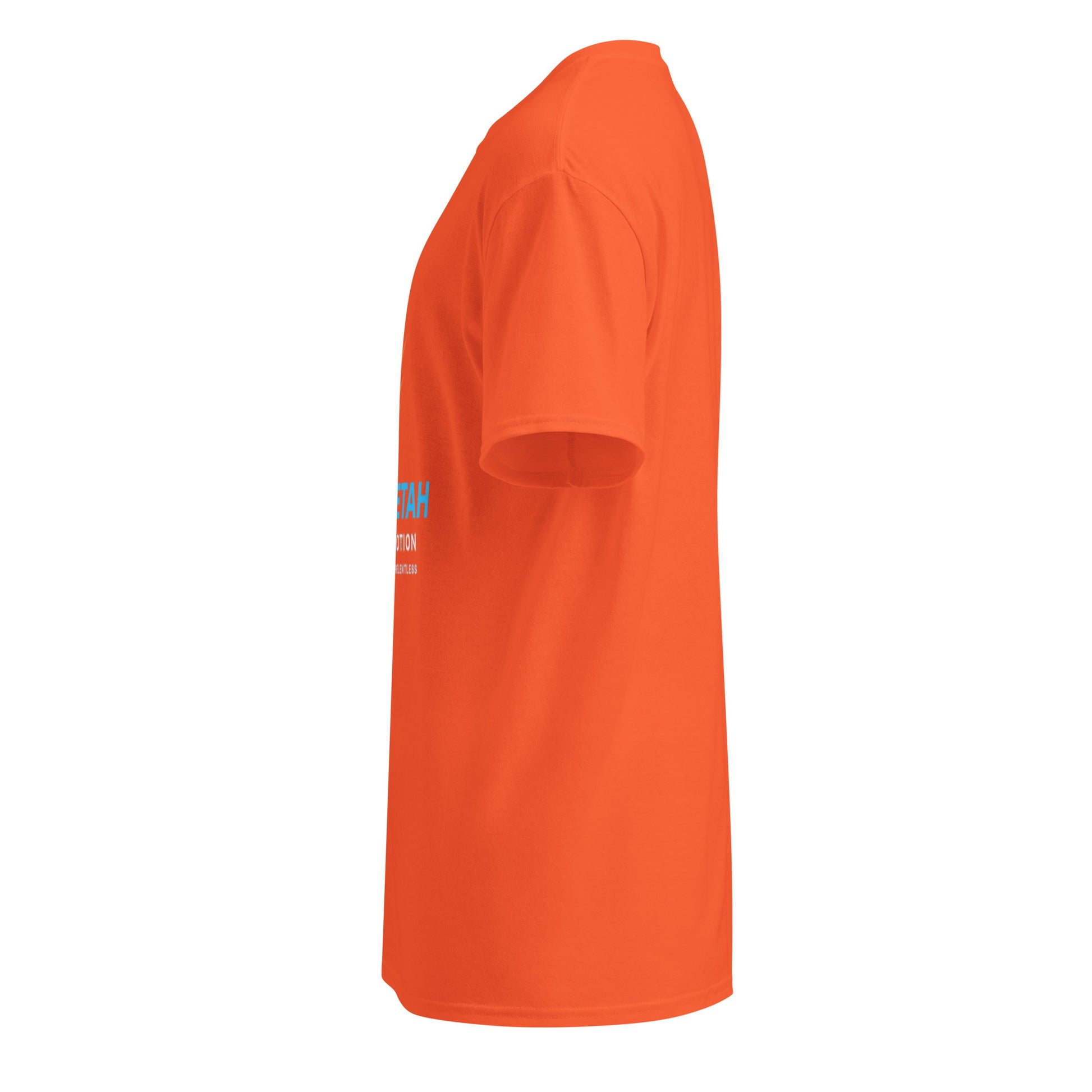 dryblend-t-shirt-1